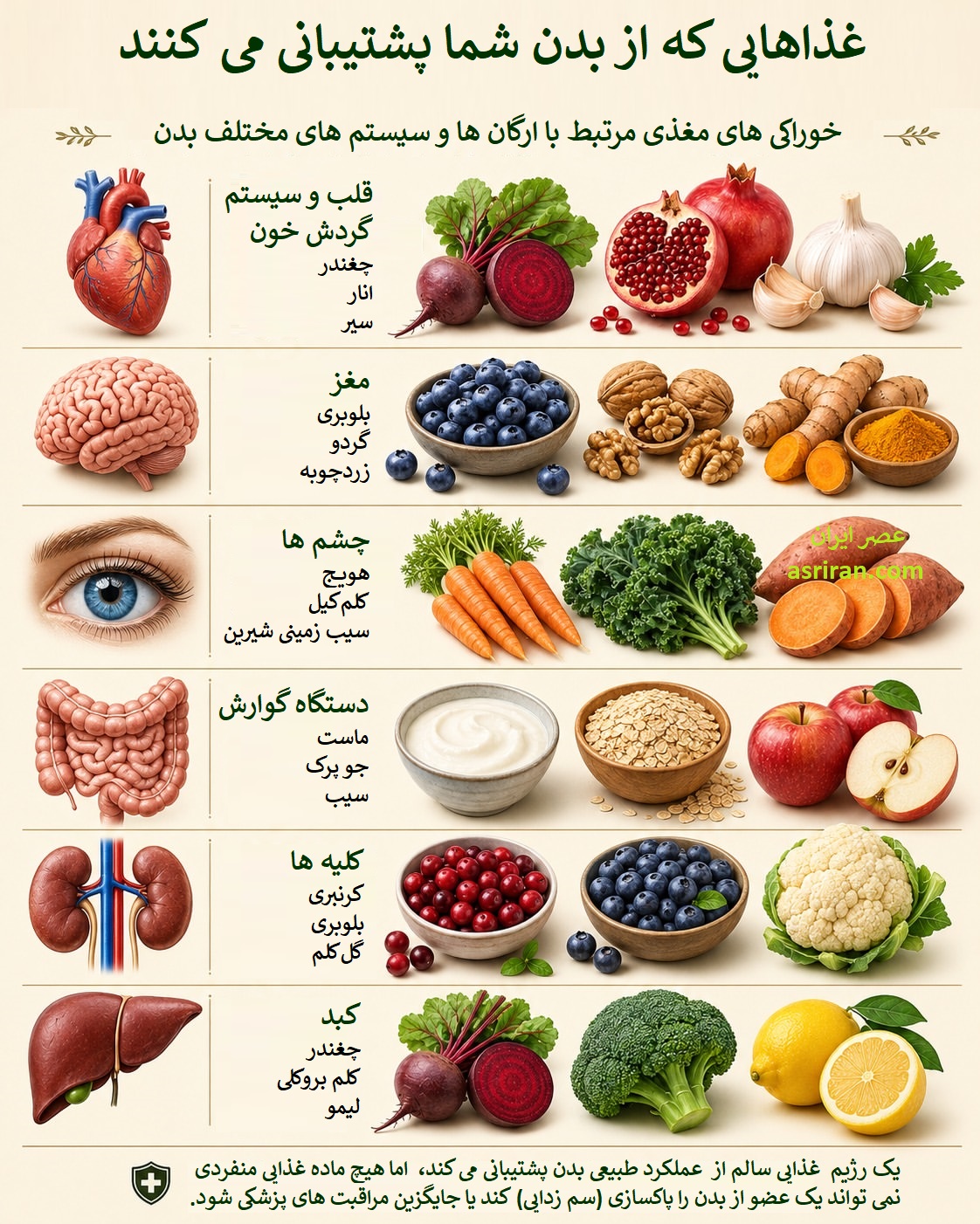 اینفوگرافیک خوراکی های مفید برای قسمت های مختلف بدن انسان اینفوگرافیک خوراکی های مفید برای قسمت های مختلف بدن انسان