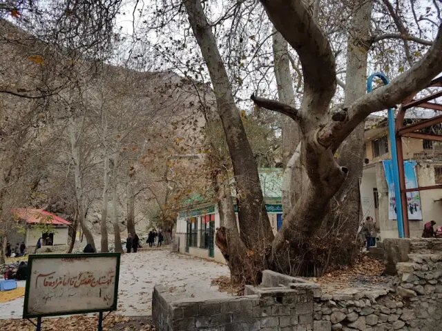 امامزاده قاسم