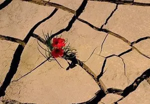 امروز با حافظ: نمی‌بینم نشاط عیش در کس