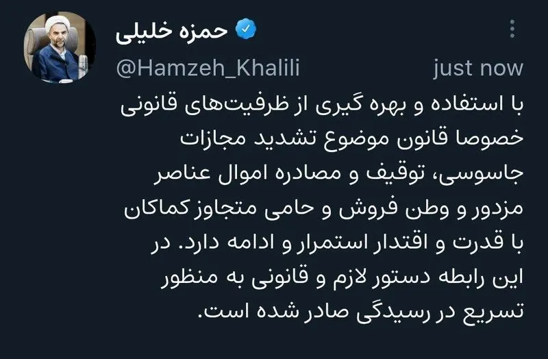 قوه قضائیه: توقیف و مصادره اموال عناصر وطن‌فروش با قدرت ادامه دارد 2