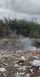 زباله در خانه پرندگان مهاجر