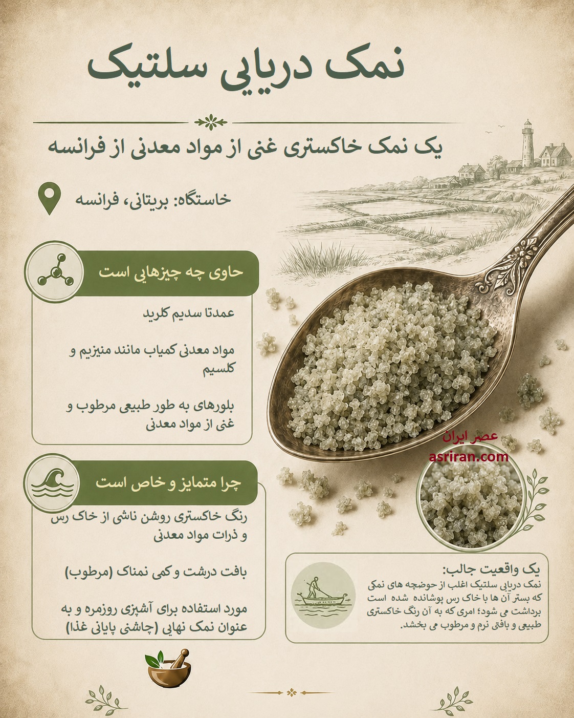 اینفوگرافیک معرفی نمک دریایی سلتیک اینفوگرافیک معرفی نمک دریایی سلتیک