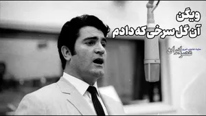 ویگن ؛ گلنسا جونم کارا بهتر می شه! (+صدا)