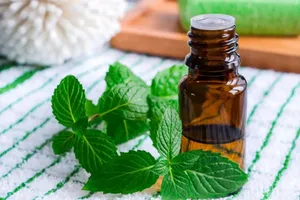 پژوهشگران درمان طبیعی ارزانی برای فشار خون پیدا کردند