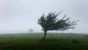 هشدار هواشناسی اردبیل؛ نفوذ سامانه‌ بارشی و رگبار و رعدوبرق