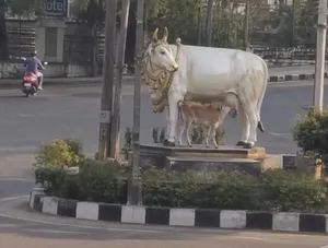 وقتی گوساله، مجسمه را با مادرش اشتباه گرفت!
