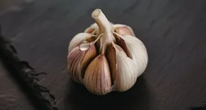 سیر یک سلاح مخفی در برابر پشه‌ها است