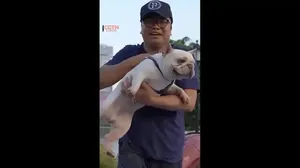 طوطی و سگ با کپسول اکسیژن به دنیای زیر آب رفتند (فیلم)