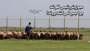ببینید جایی در نزدیکی میانکاله که می‌خواستند پتروشیمی بسازند زمین چقدر سبز شده/ هم پرنده‌ها برگشته‌اند و هم گوسفندان/ «این‌ها که مجوزشان باطل شد، چرا جمع نمی‌کنند بروند؟» (فیلم)