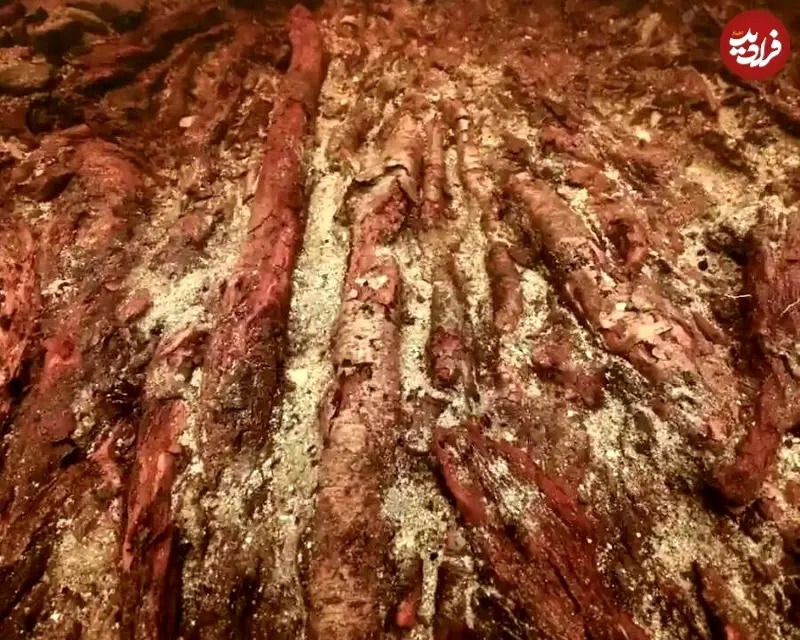 چوبهایی که بستر جزیره را در زیر آب ساختهاند چوبهایی که بستر جزیره را در زیر آب ساختهاند