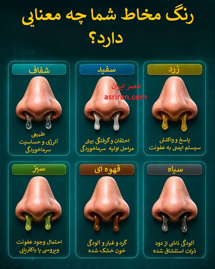 اینفوگرافیک تفاوت رنگ های مخاط بینی اینفوگرافیک تفاوت رنگ های مخاط بینی