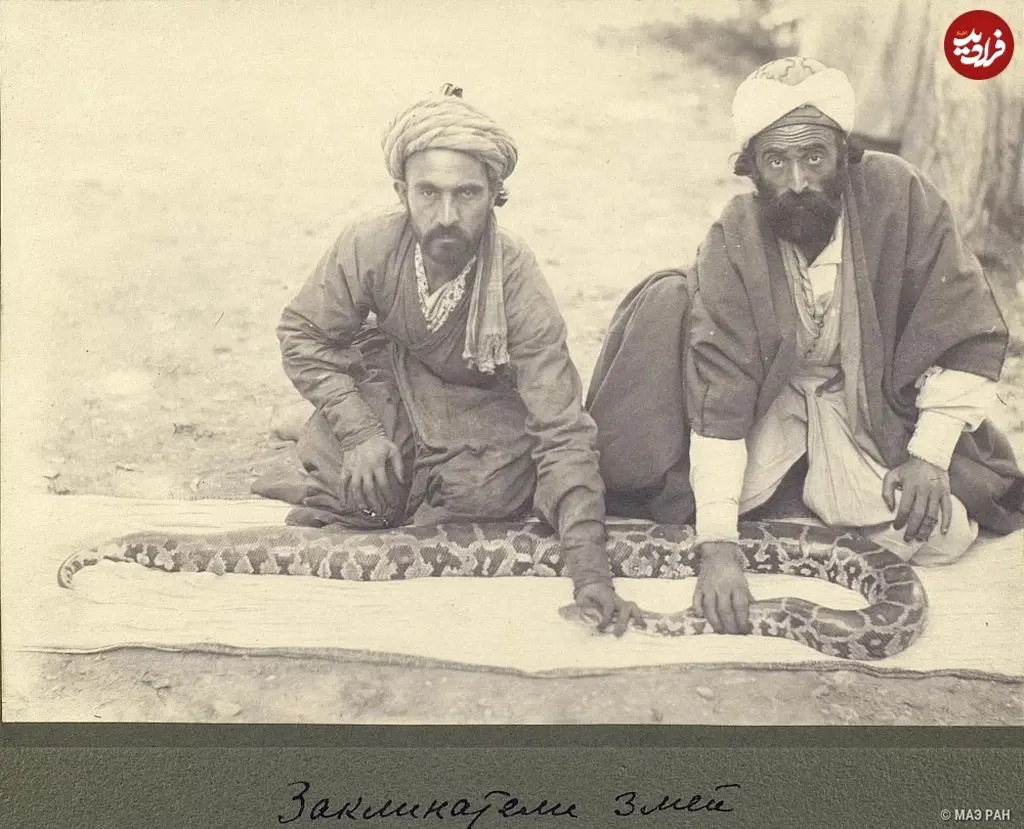 عکس یادگاری «مارگیرها با مار» در دوران قاجار
