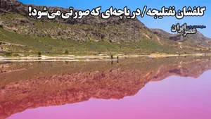 گلفشان نفتلیجه/دریاچه ای که صورتی می شود! (فیلم)