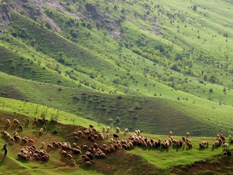 هوراند؛ شهر گمشده در جنگل‌های ارسباران با قلعه‌های هزارساله