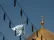 تعویض پرچم ایوان طلای حرم امیرالمؤمنین در آستانه میلاد پیامبر